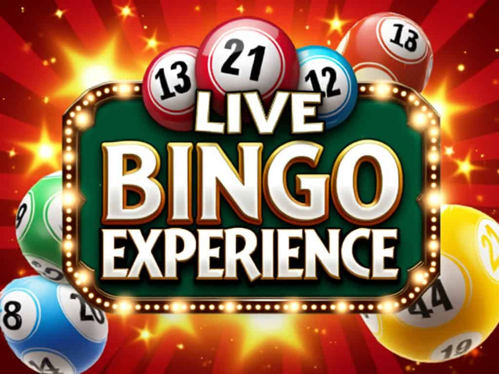 live bingo online
